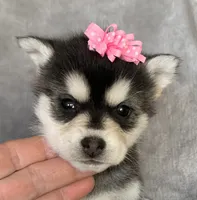 processed/8ea83dac-36b2-4ba8-8653-925064001fad/listing/d6f72fc2-6f53-432c-8133-cf53900a8778/141c8ad9-8c48-4e42-ba29-ae3090154f3d