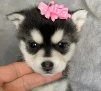 processed/8ea83dac-36b2-4ba8-8653-925064001fad/listing/d6f72fc2-6f53-432c-8133-cf53900a8778/b4b049c7-d040-44cd-b278-3175b4286b29