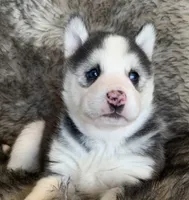 processed/8ea83dac-36b2-4ba8-8653-925064001fad/listing/f511760e-48fd-4ad3-833e-1cddc944583c/4500b5b3-2a32-4dc5-8266-45e1acb2cb92