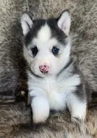 processed/8ea83dac-36b2-4ba8-8653-925064001fad/listing/f511760e-48fd-4ad3-833e-1cddc944583c/61fe3556-9dea-4b83-a0f3-3b5a7cc6a436