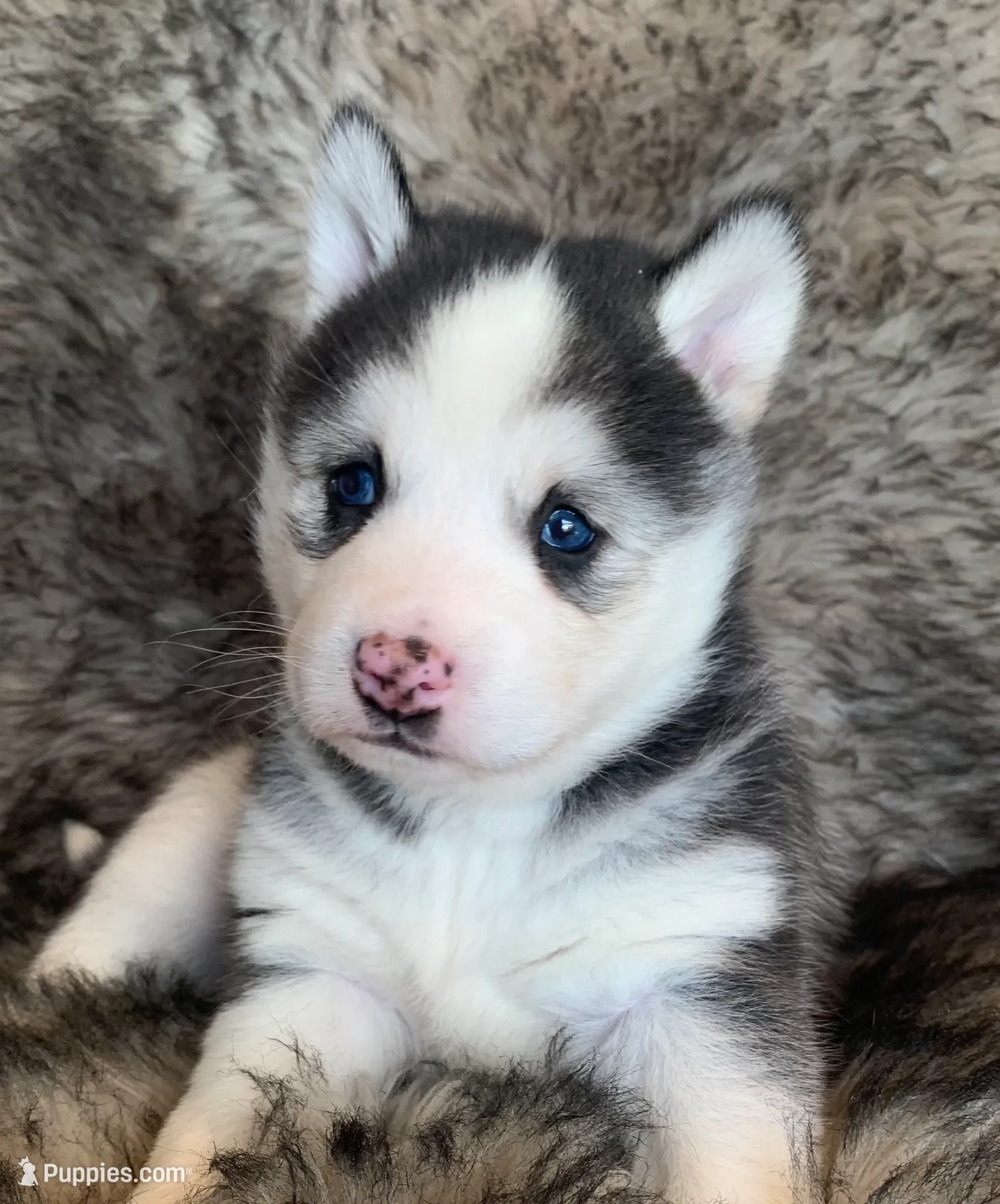 processed/8ea83dac-36b2-4ba8-8653-925064001fad/listing/f511760e-48fd-4ad3-833e-1cddc944583c/73f4960b-b2aa-4efd-b71c-d2d30083d13e