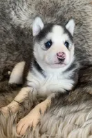 processed/8ea83dac-36b2-4ba8-8653-925064001fad/listing/f511760e-48fd-4ad3-833e-1cddc944583c/9efc44bf-a6cb-4d0a-9023-95172ea00824