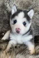 processed/8ea83dac-36b2-4ba8-8653-925064001fad/listing/f511760e-48fd-4ad3-833e-1cddc944583c/defacedd-9f32-4e1a-9ce9-7e62faf96302