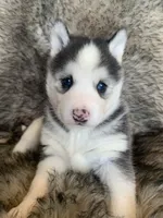 processed/8ea83dac-36b2-4ba8-8653-925064001fad/listing/f511760e-48fd-4ad3-833e-1cddc944583c/fb992f46-5540-45a5-8a17-31488780e566