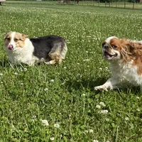 processed/8eb96620-9793-4e9d-80b7-df6d39b48b81/facility/1f5db27a-394c-4146-a7a3-008da6bb3289