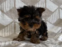 processed/8eb96620-9793-4e9d-80b7-df6d39b48b81/listing/0a7756b1-ac5e-49f0-959d-ac9a936b7226/e8fdec77-0e99-468c-bd1d-0ad15f891e42