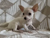 processed/8eb96620-9793-4e9d-80b7-df6d39b48b81/listing/716490fc-f090-47cf-9bd9-319caa63b599/0c3bc2ed-5a40-4223-92c4-8b095a9af13f