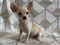 processed/8eb96620-9793-4e9d-80b7-df6d39b48b81/listing/716490fc-f090-47cf-9bd9-319caa63b599/0df9ecab-9f7b-4492-b0b2-8564b4d58ba4