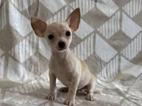 processed/8eb96620-9793-4e9d-80b7-df6d39b48b81/listing/716490fc-f090-47cf-9bd9-319caa63b599/199fa817-42cf-40f8-9f5b-31f85cca272c