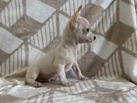 processed/8eb96620-9793-4e9d-80b7-df6d39b48b81/listing/716490fc-f090-47cf-9bd9-319caa63b599/44393824-e2f4-4e33-a6e0-f55691c44a46