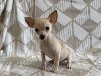 processed/8eb96620-9793-4e9d-80b7-df6d39b48b81/listing/716490fc-f090-47cf-9bd9-319caa63b599/70b8fd53-4df2-4bb6-8586-a27884325eda