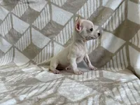 processed/8eb96620-9793-4e9d-80b7-df6d39b48b81/listing/716490fc-f090-47cf-9bd9-319caa63b599/7b7406f4-b89c-49d0-9dce-70de650998aa