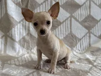 processed/8eb96620-9793-4e9d-80b7-df6d39b48b81/listing/716490fc-f090-47cf-9bd9-319caa63b599/ff589d62-94d2-4cc3-b0f0-ccf6ae36ac83