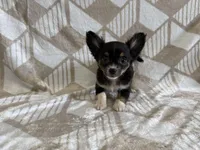 processed/8eb96620-9793-4e9d-80b7-df6d39b48b81/listing/a45b604f-c5c6-4508-a4e9-6f1e802a5cf6/8e13bea6-4a54-4f91-9fcd-147298c6c3d5