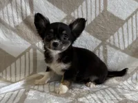 processed/8eb96620-9793-4e9d-80b7-df6d39b48b81/listing/a45b604f-c5c6-4508-a4e9-6f1e802a5cf6/c7c47039-0e53-4e11-89a0-b11d668de92f