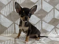 processed/8eb96620-9793-4e9d-80b7-df6d39b48b81/listing/df0f45d5-480a-499a-9d59-2246c7821a2b/0b141ecd-5d98-4123-a644-d6966bcbb15b