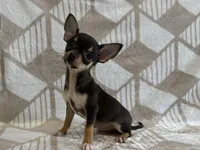 processed/8eb96620-9793-4e9d-80b7-df6d39b48b81/listing/df0f45d5-480a-499a-9d59-2246c7821a2b/55a63855-796d-4944-b654-0dbb4a46bbc4