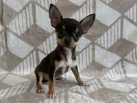 processed/8eb96620-9793-4e9d-80b7-df6d39b48b81/listing/df0f45d5-480a-499a-9d59-2246c7821a2b/58697e07-92c8-47d5-b244-b99413c794dc