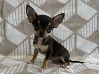 processed/8eb96620-9793-4e9d-80b7-df6d39b48b81/listing/df0f45d5-480a-499a-9d59-2246c7821a2b/7d75a948-c610-489a-9c94-00162fb5699a