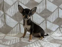 processed/8eb96620-9793-4e9d-80b7-df6d39b48b81/listing/df0f45d5-480a-499a-9d59-2246c7821a2b/955712dd-43bb-490e-b484-5012387033b5