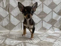 processed/8eb96620-9793-4e9d-80b7-df6d39b48b81/listing/df0f45d5-480a-499a-9d59-2246c7821a2b/ad6813a1-f411-4df4-9c95-23d44957a019