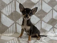 processed/8eb96620-9793-4e9d-80b7-df6d39b48b81/listing/df0f45d5-480a-499a-9d59-2246c7821a2b/d6ef67bf-09b8-423c-9a77-19ffe20aac50