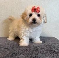 processed/8eb96620-9793-4e9d-80b7-df6d39b48b81/listing/f35b4206-95fd-4e32-ba84-87a4b6df777b/68d52a76-0ab4-4315-b2c1-67a87be87084