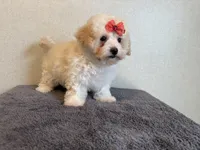 processed/8eb96620-9793-4e9d-80b7-df6d39b48b81/listing/f35b4206-95fd-4e32-ba84-87a4b6df777b/ebcf9252-ca73-4d2b-b80f-5c98a5f146d3