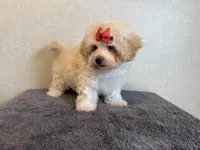 processed/8eb96620-9793-4e9d-80b7-df6d39b48b81/listing/f35b4206-95fd-4e32-ba84-87a4b6df777b/fa58765c-6564-4e10-b359-155e91dad0fb