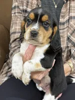 processed/8ebc88f0-f5b2-4f41-82ed-254b6a1465dd/listing/edf874af-b55b-4eb3-a107-a2c58cdb6201/37965a1a-e536-44d9-baed-ac420217eb95