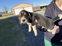 processed/8ebc88f0-f5b2-4f41-82ed-254b6a1465dd/listing/edf874af-b55b-4eb3-a107-a2c58cdb6201/43ca52f9-f266-4383-acae-c1679bc24f1b