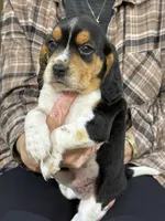 processed/8ebc88f0-f5b2-4f41-82ed-254b6a1465dd/listing/edf874af-b55b-4eb3-a107-a2c58cdb6201/48e8f547-bed5-4a02-83b8-d56ec01cf9be