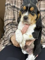 processed/8ebc88f0-f5b2-4f41-82ed-254b6a1465dd/listing/edf874af-b55b-4eb3-a107-a2c58cdb6201/6829eb82-2350-4de9-810f-c59cf9dd8963