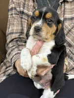 processed/8ebc88f0-f5b2-4f41-82ed-254b6a1465dd/listing/edf874af-b55b-4eb3-a107-a2c58cdb6201/8185a925-01d6-43d5-a5df-6b67dfe949b3