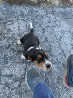 processed/8ebc88f0-f5b2-4f41-82ed-254b6a1465dd/listing/edf874af-b55b-4eb3-a107-a2c58cdb6201/8d334273-059e-4fcb-ae18-6126b1a94127