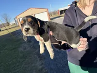 processed/8ebc88f0-f5b2-4f41-82ed-254b6a1465dd/listing/edf874af-b55b-4eb3-a107-a2c58cdb6201/a53f7aca-791d-475a-8cb7-c63af5109d72