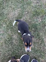 processed/8ebc88f0-f5b2-4f41-82ed-254b6a1465dd/listing/edf874af-b55b-4eb3-a107-a2c58cdb6201/afc96913-eec2-4e32-b1cf-f33c8723f307