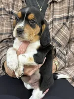 processed/8ebc88f0-f5b2-4f41-82ed-254b6a1465dd/listing/edf874af-b55b-4eb3-a107-a2c58cdb6201/f744b502-fc75-4597-8848-8652bb8a1ac4