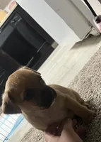 processed/8ebd3131-9b87-4e06-945c-6141a970488f/listing/8f3850a3-486b-419c-b935-df6ea46124e9/1ff045b4-c6a6-4126-a4f1-1eeb50491285