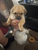 processed/8ebd3131-9b87-4e06-945c-6141a970488f/listing/8f3850a3-486b-419c-b935-df6ea46124e9/25ba598c-9d67-4a4a-b03f-4b10deeb6333