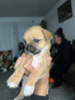 processed/8ebd3131-9b87-4e06-945c-6141a970488f/listing/8f3850a3-486b-419c-b935-df6ea46124e9/35504bd7-6e9b-4dcc-899a-471016d6e9be