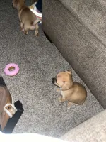 processed/8ebd3131-9b87-4e06-945c-6141a970488f/listing/8f3850a3-486b-419c-b935-df6ea46124e9/9d3d501a-9385-4e64-9923-9afcd252ec95