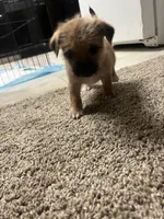 processed/8ebd3131-9b87-4e06-945c-6141a970488f/listing/8f3850a3-486b-419c-b935-df6ea46124e9/aa0c4536-08f3-4f08-bd6c-0139d7c17d0d