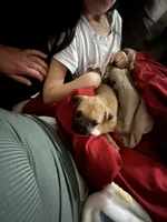 processed/8ebd3131-9b87-4e06-945c-6141a970488f/listing/8f3850a3-486b-419c-b935-df6ea46124e9/d0af9634-6690-4721-adac-c36a61fd8f8a