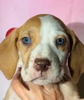 processed/8ec2e708-4c63-4486-b97a-c8ed9fbace88/listing/0b29d71f-ede9-4486-bcb8-408329e87323/37efa8c7-0bef-4672-9c5c-c1bd37397f1b