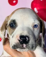 processed/8ec2e708-4c63-4486-b97a-c8ed9fbace88/listing/11250696-2c83-4eb1-a633-643b85ba7540/73b728ef-01a4-4cde-b3be-5861d9c80954