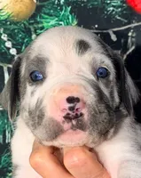 processed/8ec2e708-4c63-4486-b97a-c8ed9fbace88/listing/184f29e3-706e-417d-9c79-8ea290c657f8/5507c3e7-7d67-42a2-ad1a-f47cd53ee7da