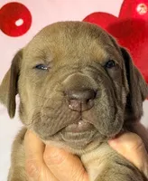 processed/8ec2e708-4c63-4486-b97a-c8ed9fbace88/listing/44ea77ef-e404-461c-b692-e1b1f7e4fc33/a2dccf53-882f-442b-bc66-98f3a9499877