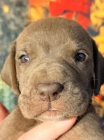 processed/8ec2e708-4c63-4486-b97a-c8ed9fbace88/listing/6d81404a-3c9a-4c62-8f46-563fbf7fccda/1cb100a3-9a7d-4b3c-a624-768876f1b7f5