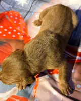 processed/8ec2e708-4c63-4486-b97a-c8ed9fbace88/listing/6d81404a-3c9a-4c62-8f46-563fbf7fccda/402dd1b3-43ac-4591-8ee2-c3043c349dc5